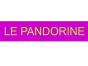 Act & React | Le Pandorine
